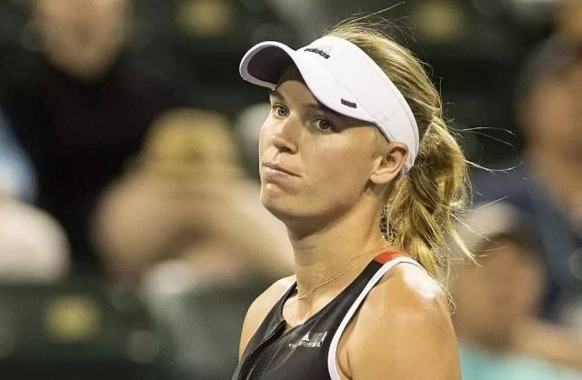 张之臻与其 张之臻与其