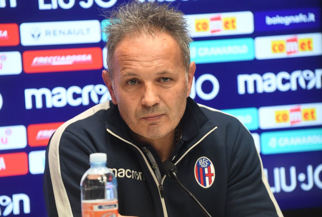 独行侠能否 独行侠能否